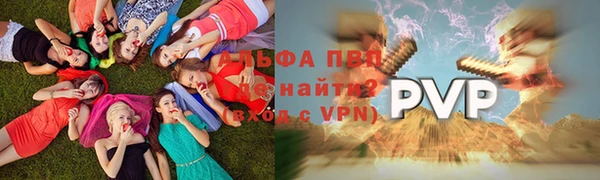 spice Осинники