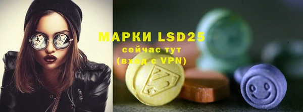 spice Осинники