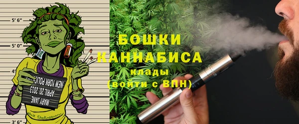 spice Осинники