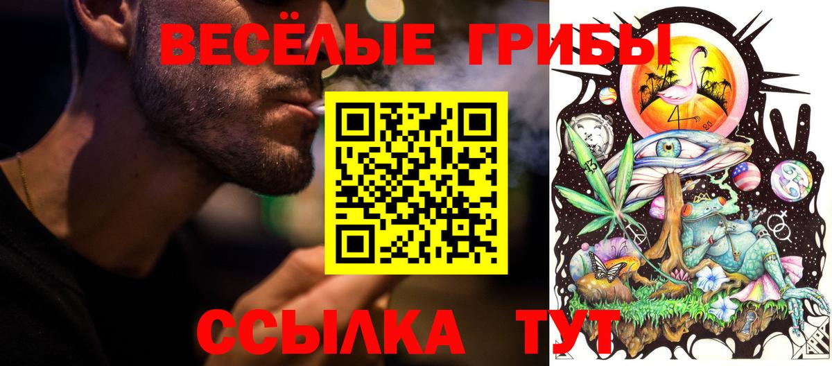 Галлюциногенные грибы мухоморы  Псилоцибиновые грибы Psilocybe  Тобольск  Вход с VPN 